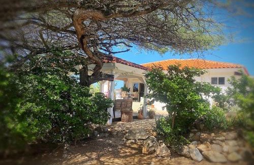 Sabana Liber Casa | Milas Family Getaway