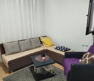 Jagodina Apartamento | Milić
