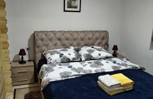 Stara Planina Villa | Milica 1