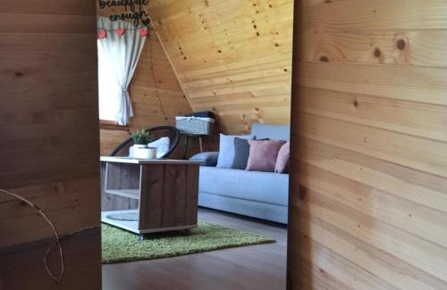 Zlatibor Casa | Miliceva ruza