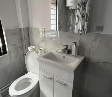 Stara Planina Apartamento | Miljaca