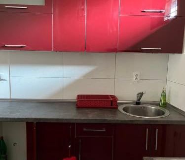 Stara Planina Apartamento | Miljaca