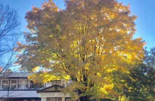 Flat Rock Cabina | Mill House Lodge - Flat Rock