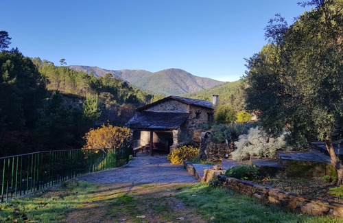 Pinofranqueado Cabaña | Molino rehabilitado con Piscina Natural y Barbacoa en entorno natural