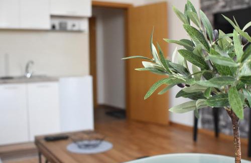 Soko Banja Apartamento | Millenium apartment