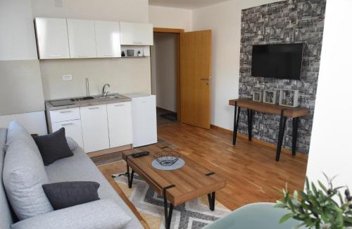 Soko Banja Apartamento | Millenium apartment