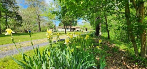 Luray Casa | Millie`s Place