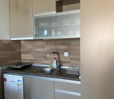 Lisina Apartamento | Milmari Premier 28 Kopaonik