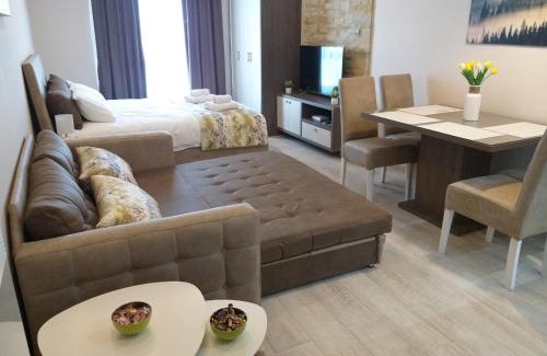 Kopaonik Apartamento | Milmari resort Sara P61