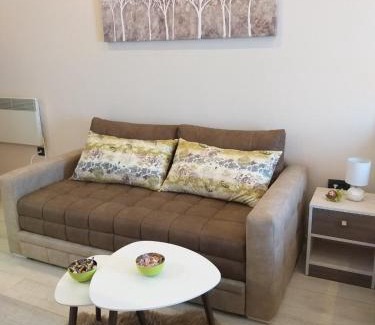 Kopaonik Apartamento | Milmari resort Sara P61