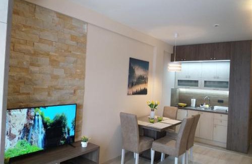 Kopaonik Apartamento | Milmari resort Sara P61