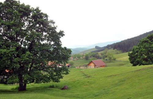 Central Serbia Chalet De Esquí | Milošev vajat - Miloš's cottage