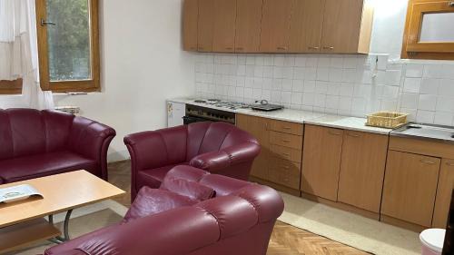 Kursumlija Apartamento | Milovanović
