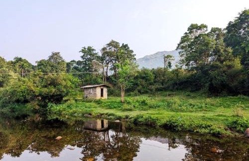 Thirunelly Casa | Milu Homes
