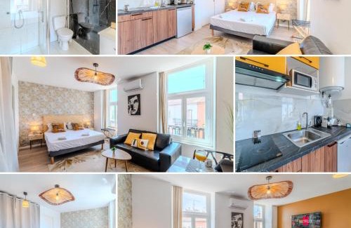 Roanne Apartamento | Mimosa Roanne centre-ville - Parking & Clim