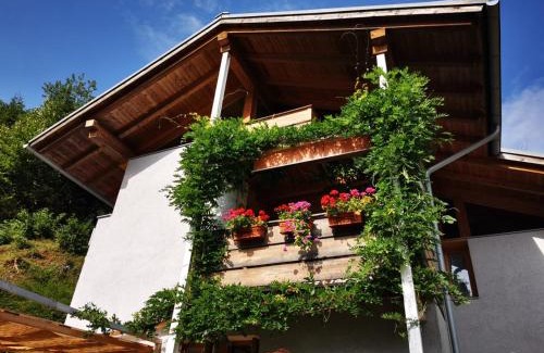 Fiera di Primiero Cama Y Desayuno | MinaVill La Casa Sulle Dolomiti