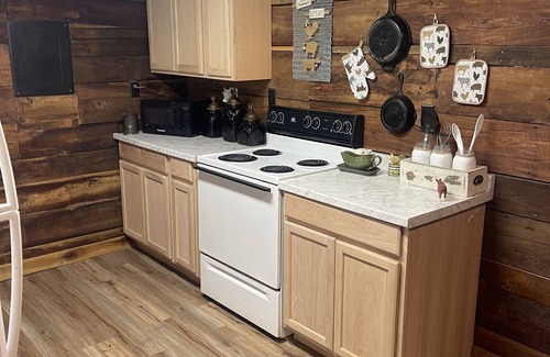 Baxter Cabina | Mine Lick Creek Resort 128