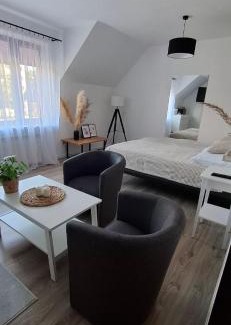 Pulawy Apartamento | Mini apartamenty Lubelska