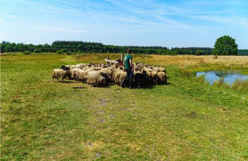 Dikbroeken Otro | Mini Camping Drentse Monden