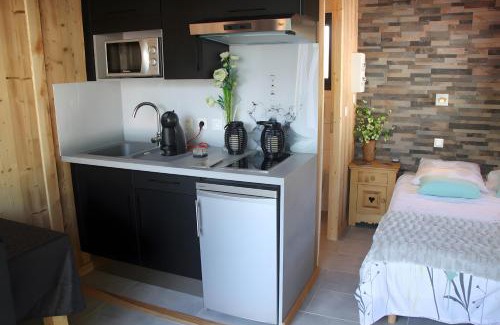 Saint-Jean-Saint-Nicolas Chalet De Esquí | Mini Chalet Ananda