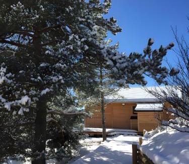 Saint-Jean-Saint-Nicolas Chalet De Esquí | Mini Chalet Samsara