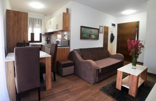 Vrnjacka Banja Apartamento | "Mini Hotel Vienna" Apartments
