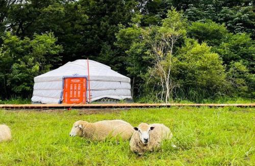 Gujo Otro | mini mongolia campsite - Vacation STAY 42127v