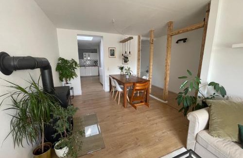 Pellenz Apartamento | MiniLoft Andernach