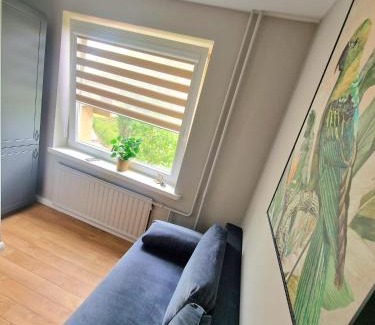 Kaunas Apartamento | Miniukas