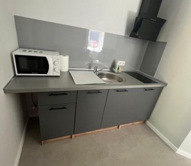 Kaunas County Apartamento | Mintare