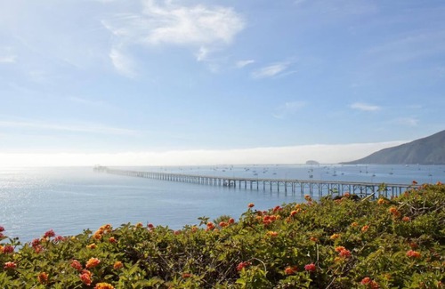 Avila Beach Complejo | Minutes from Avila Beach! 2 Spacious Units Pool, Bbq Facilities, Free Parking!