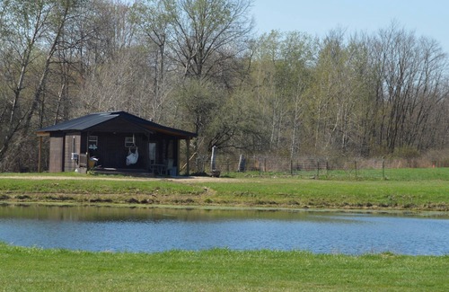 Westford Cabina | Minutes from Pymatuning, Cabin by the Pond