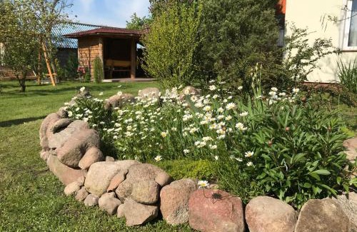 Hajnowka Casa | Miodunka