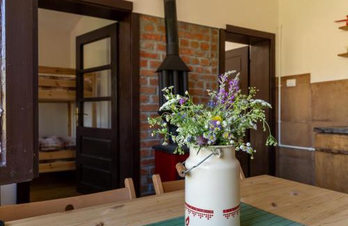 Central Serbia Apartamento | Mir i planina