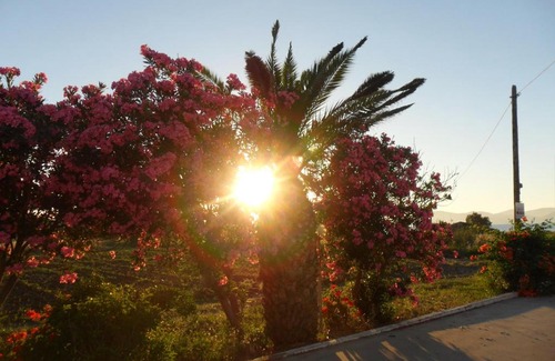 Tingaki Apartamento | Miros Hotel Apartments