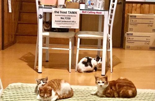 Minamitsugaru-gun Casa | Misato Memorial Hall - Vacation STAY 61405v