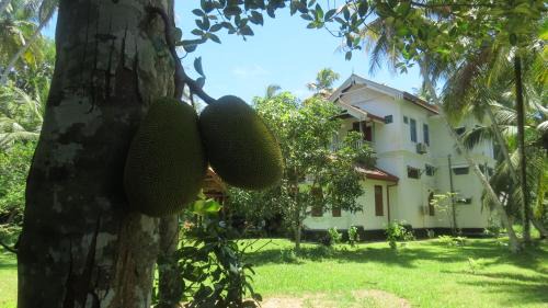 Hettimulla Casa | Mishthana Canal Resort