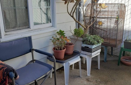 Mission Beach Cabaña | Mission Beach Cottage available for 30 + night rentals.