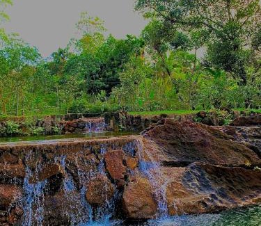 Nelluwa Hotel | Mist of sinharaja eco lodge