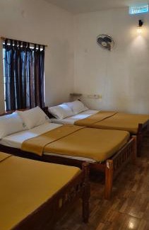 Masinagudi Complejo | Mist Valley Wildlife Resort