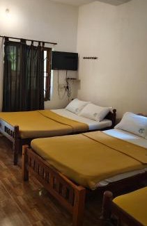 Masinagudi Complejo | Mist Valley Wildlife Resort
