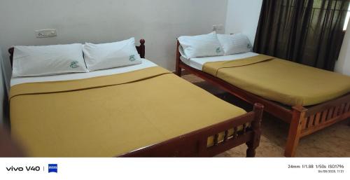 Masinagudi Complejo | Mist Valley Wildlife Resort