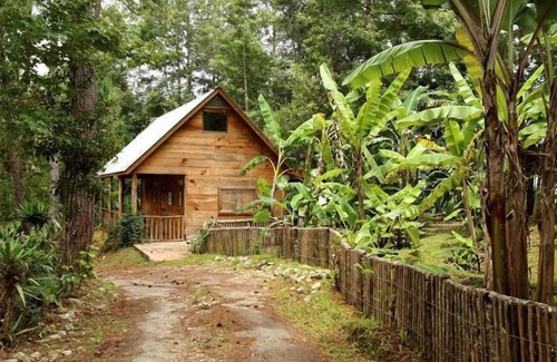 Alta Verapaz Cabina | Misterio Verde