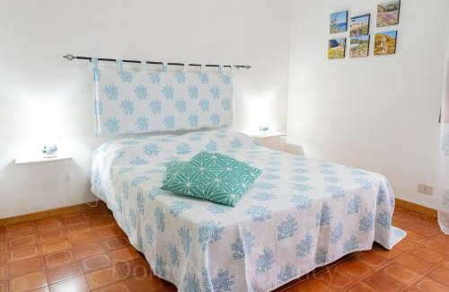 Capo Testa Casa | Mistral
