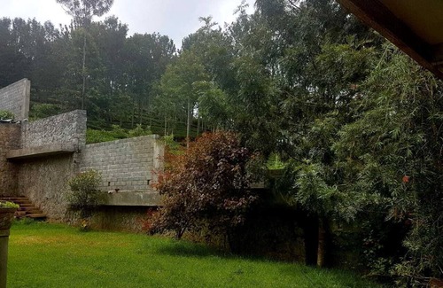 Kotagiri Casa | Misty Green Woods ...