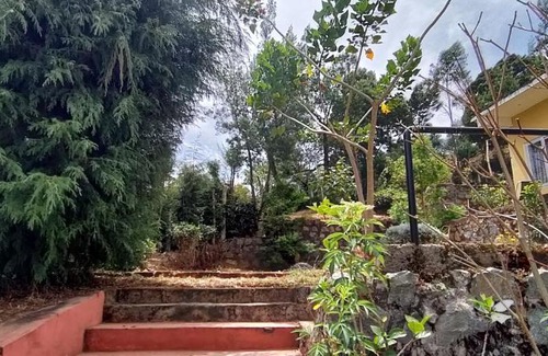 Wellington Casa | Misty hillz Ooty