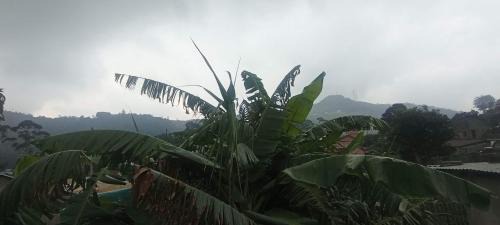 Nuwara Eliya Cabina | Misty Horizon Villa