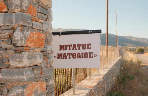 Naxos Apartamento | Mitatos "Matthew"