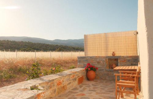 Naxos Apartamento | Mitatos "Matthew"