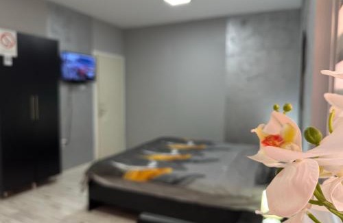 Nis Casa | Mitić Apartmani 1